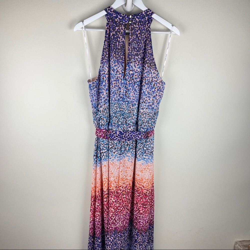 Multi-Color Halter Maxi Dress - Picture 12 of 15